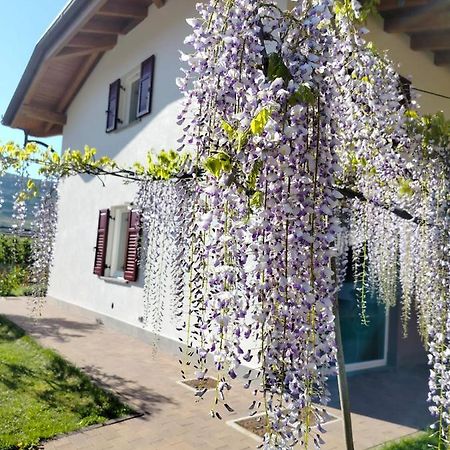 Agritur Lavanda Nave San Rocco 외부 사진