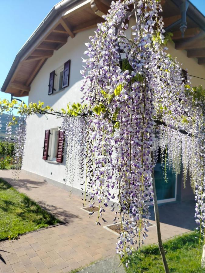 Agritur Lavanda Nave San Rocco 외부 사진